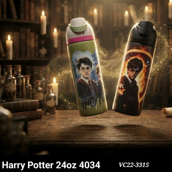 Harry Potter Stainless Steel Bottle for Kids, 700ml